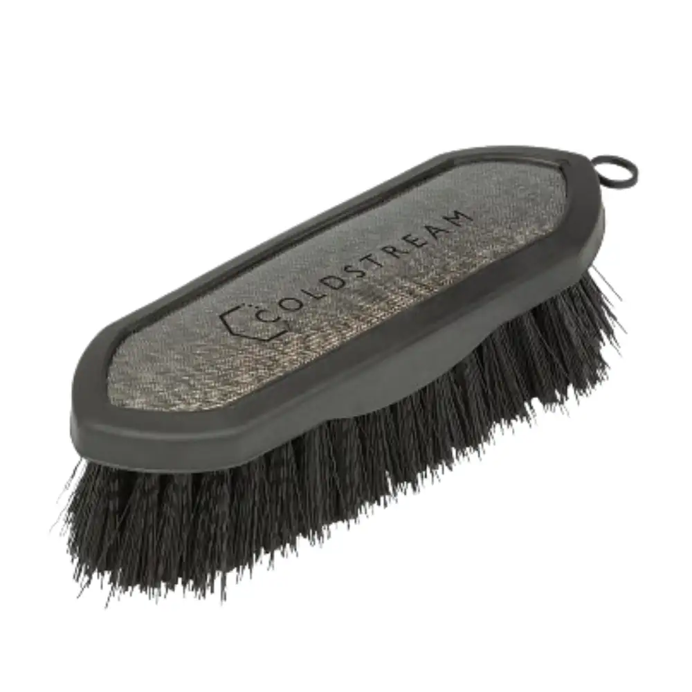 Coldstream Shine Dandy Brush