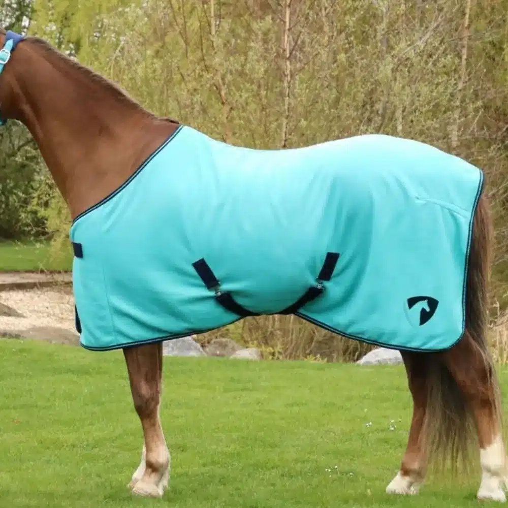 HY Equestrian Belton Fleece Horse Rug Teal/Navy