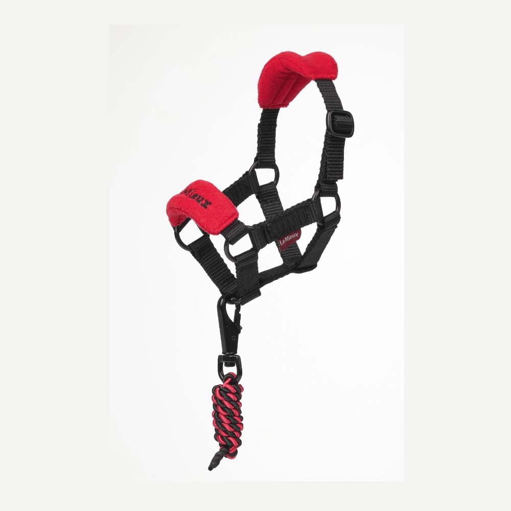 LeMieux Toy Pony Headcollar Chilli