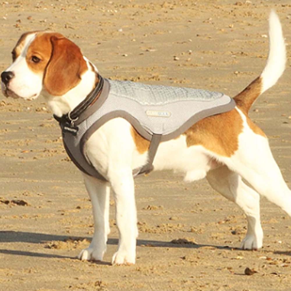 George Barclay Climacool Dog Cooling Vest