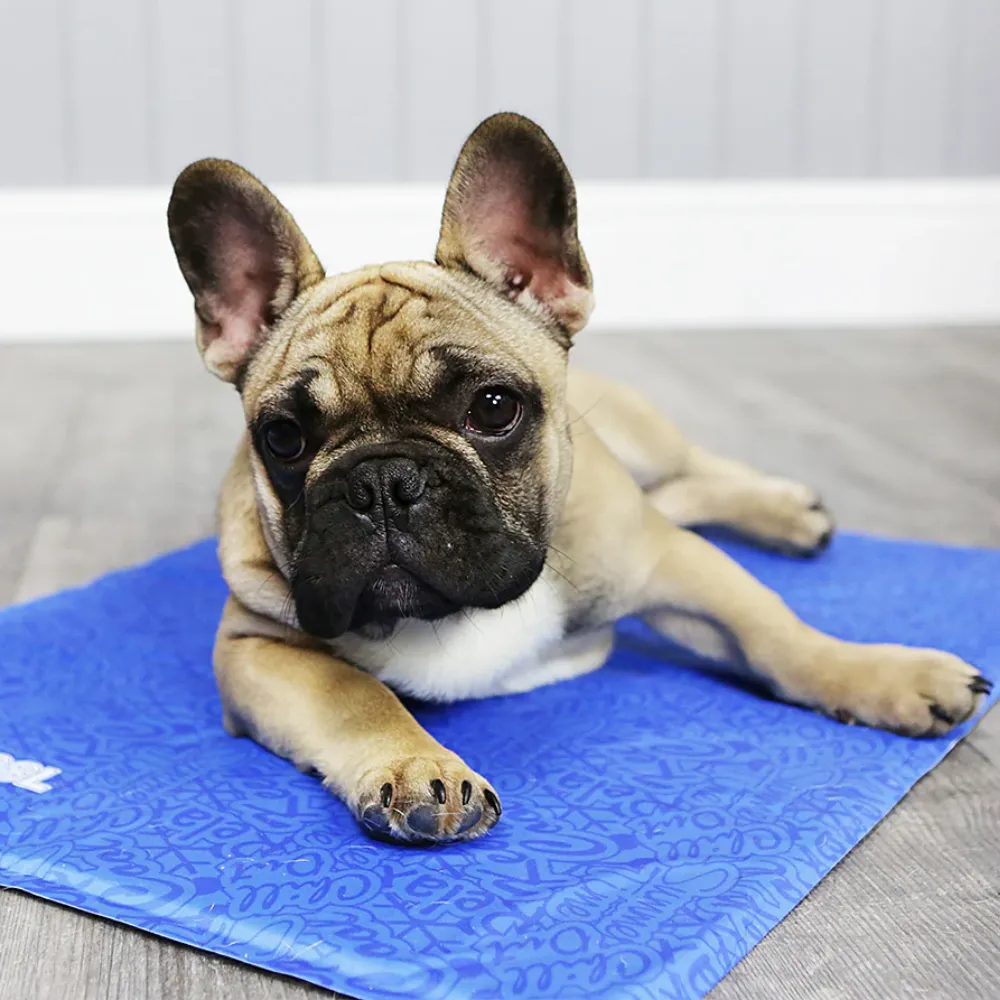 George Barclay Climacool Dog Cooling Mat