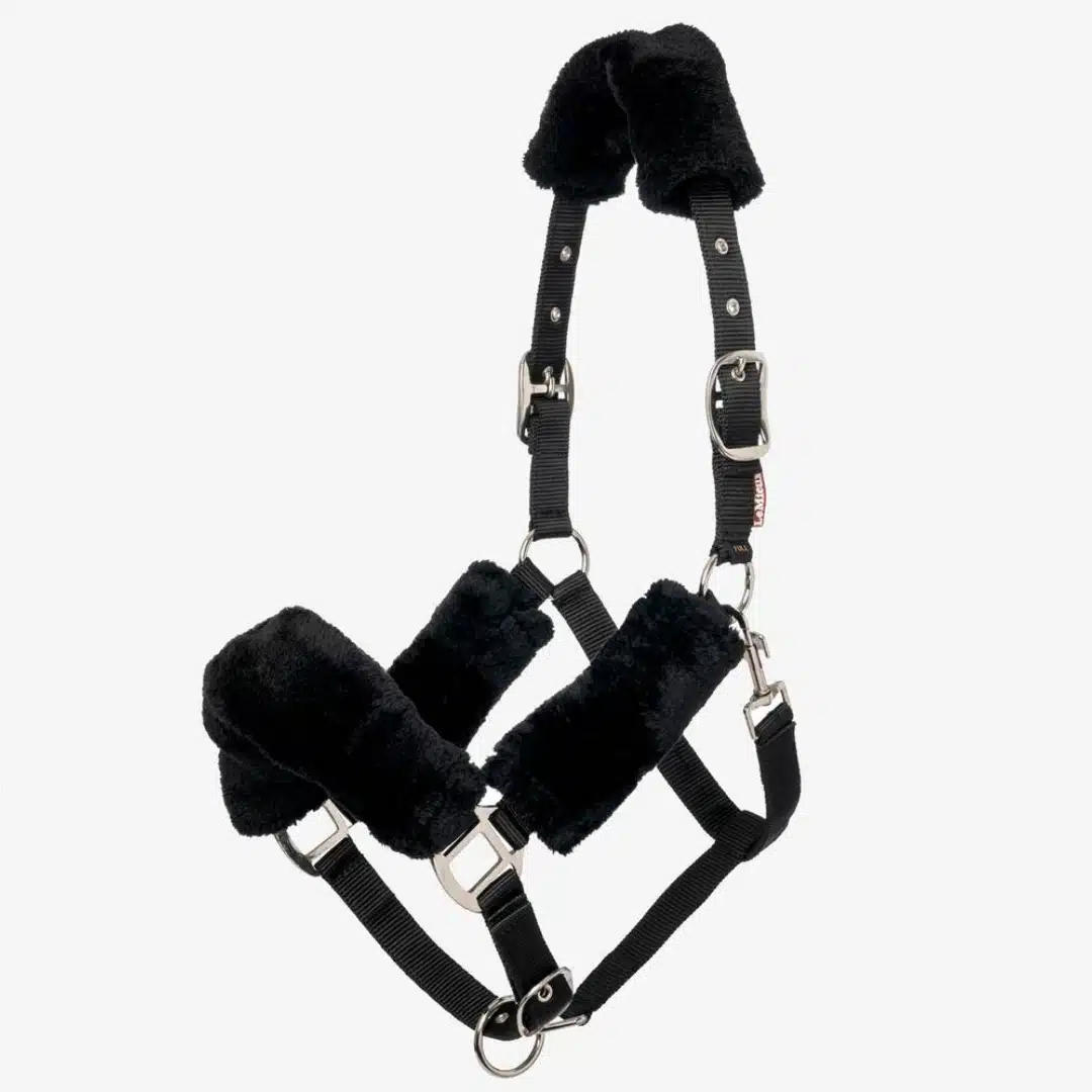 LeMieux Comfort Headcollar Black