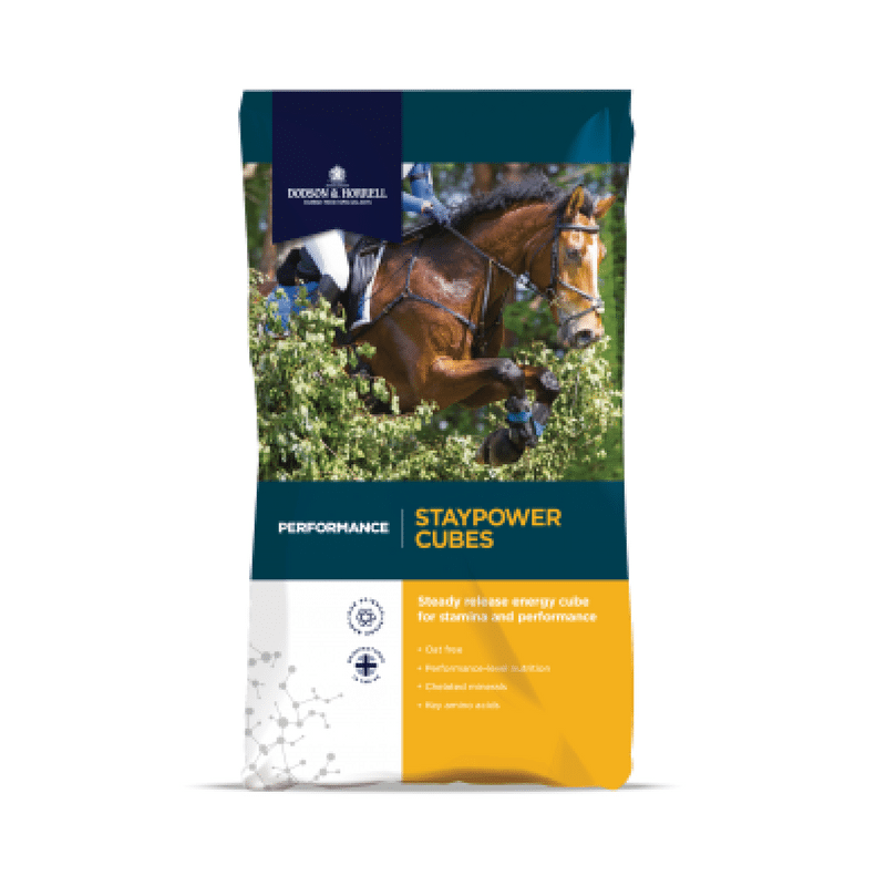 Dodson & Horrell Staypower Cubes
