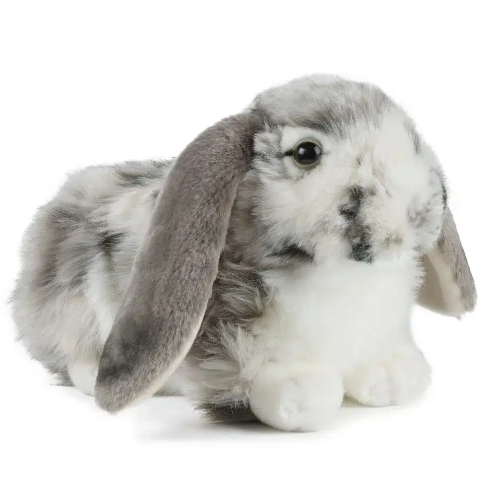 Living Nature Dutch Lop Eared Rabbit Grey