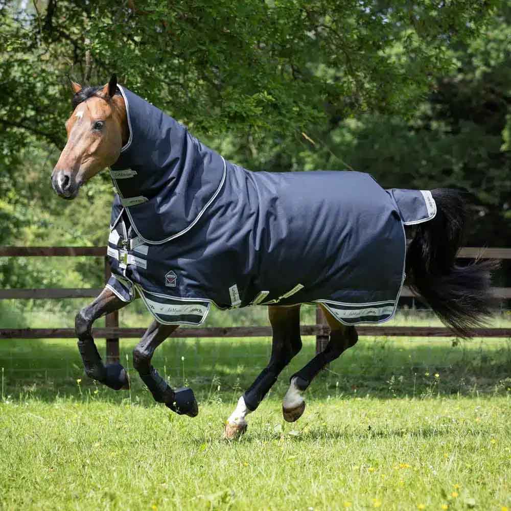 LeMieux Arika Storm-Tek 200g Medium Turnout Rug