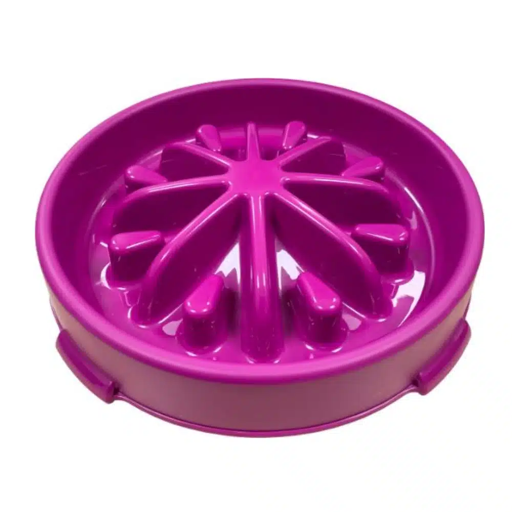 Hem & Boo Slow Feeding Anti Gulp Pet Bowl Large