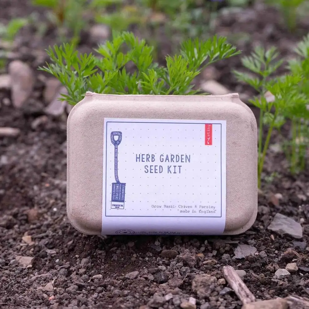 Sting In The Tail Herb Garden Seed Kit