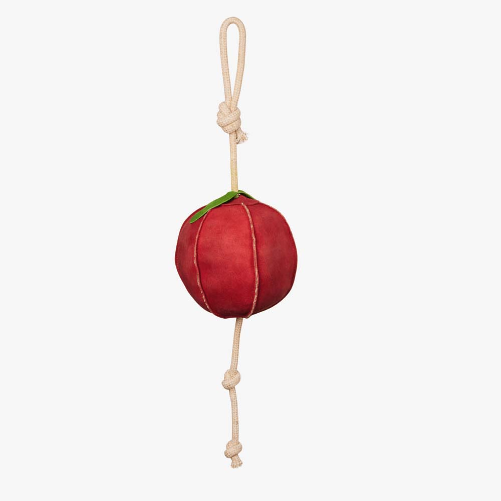 LeMieux Horse Stable Toy Apple