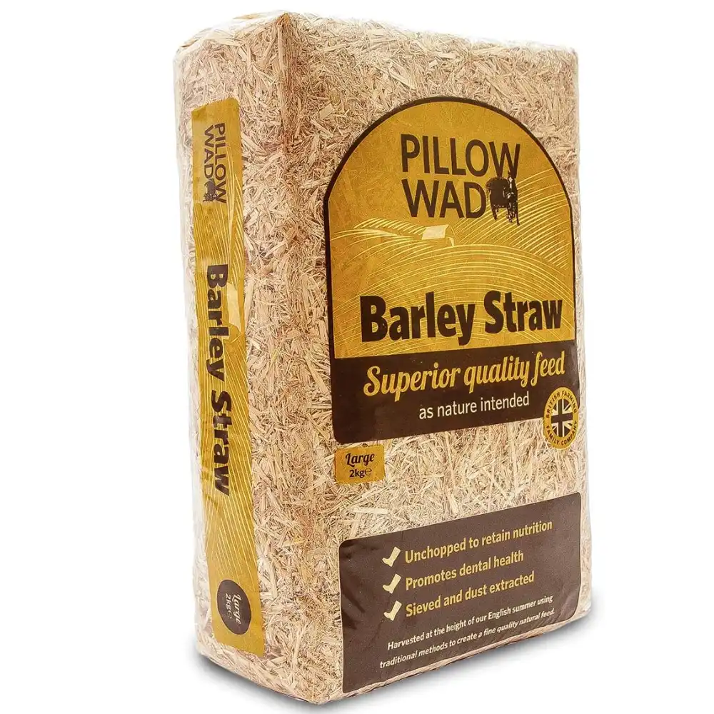 Bestpets Pillow Wad Barley Straw 2kg