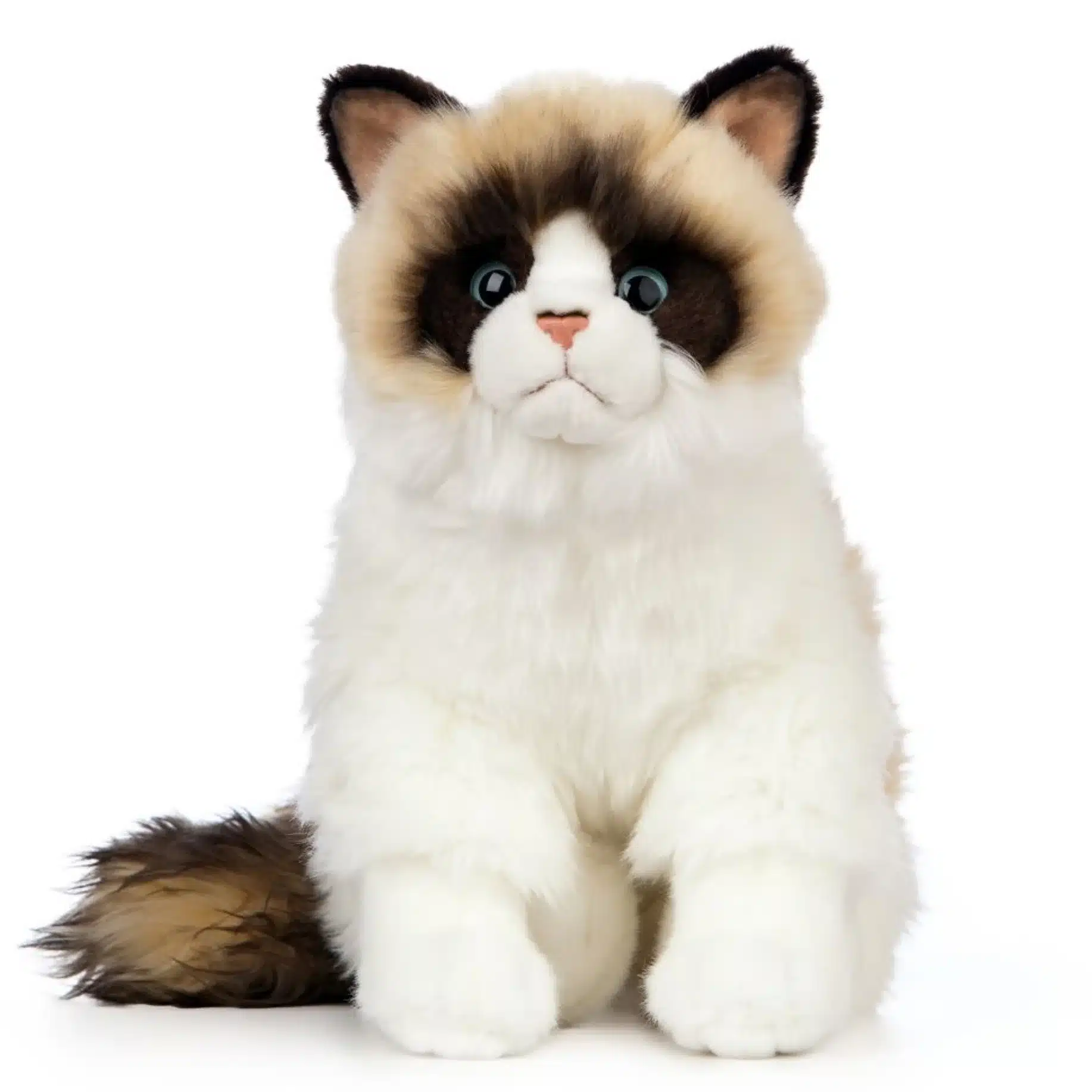 Living Nature Ragdoll Cat