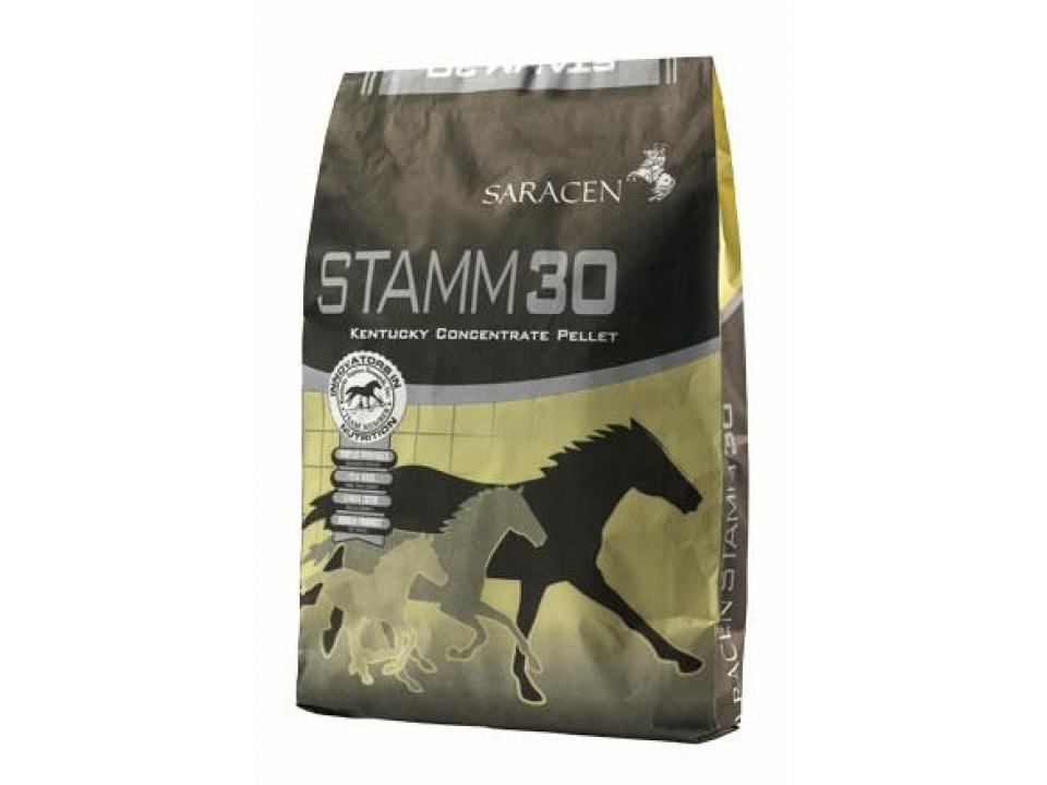 Saracen Stamm Balancer