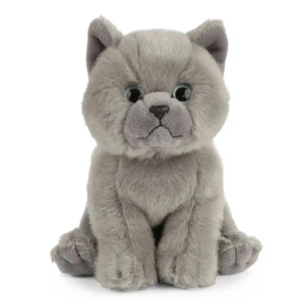 Living Nature British Grey Shorthair Kitten