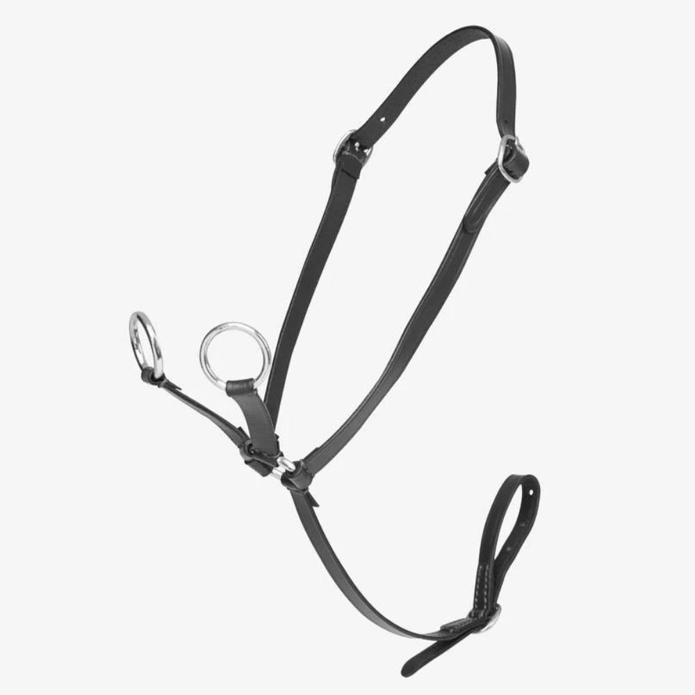 LeMieux Toy Pony Martingale Black