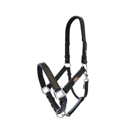 Equilibrium Stellar Headcollar