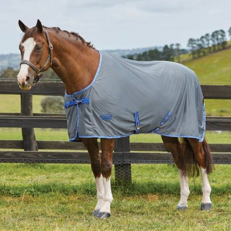 WeaterBeeta Ezi-Dri Standar Neck