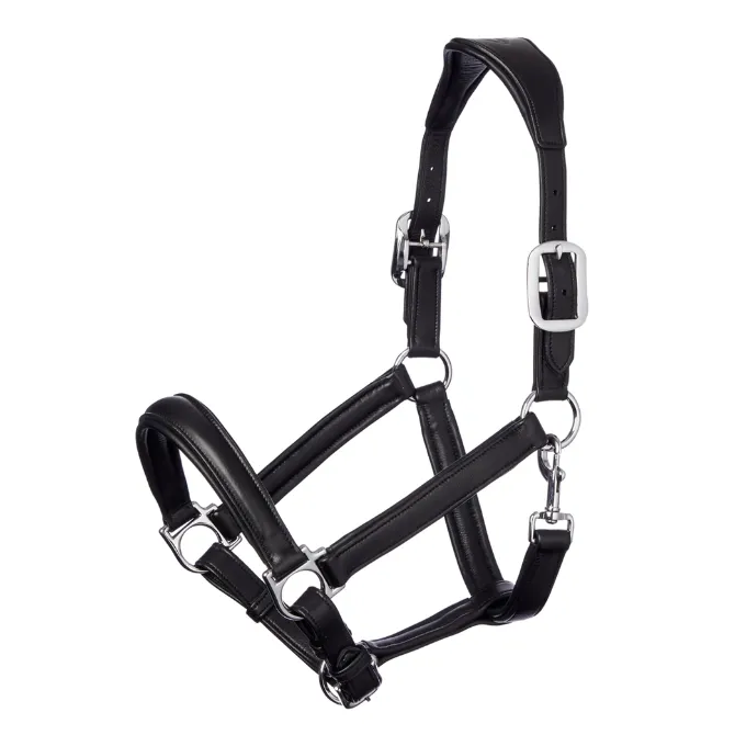 LeMieux Anatomic Leather Headcollar Black
