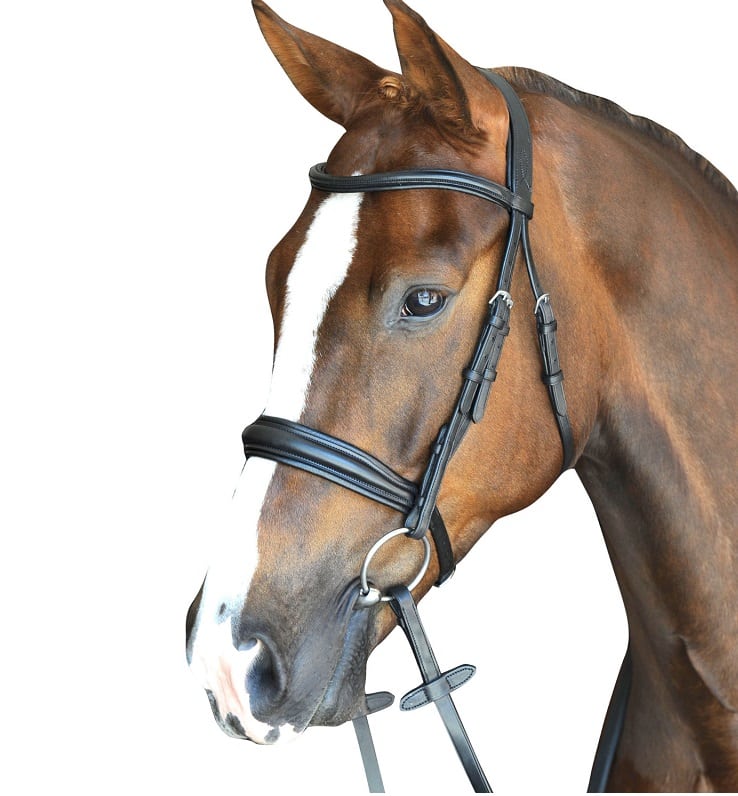Collegiate Mono Crown Padded Raised Cavesson Bridle