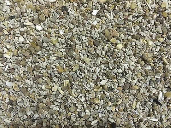 Oyster Shell