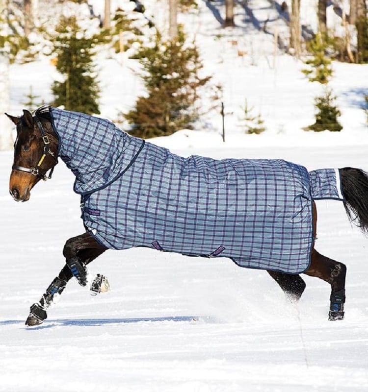 Rhino Plus 200g Medium Turnout Rug