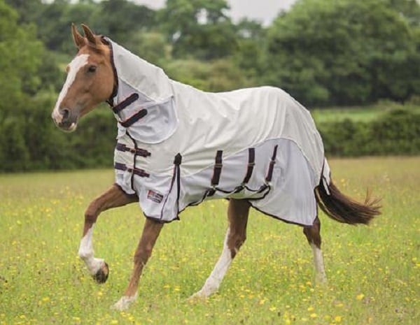 Shires Highlander Plus Maxi Flow Combo