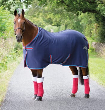 Bridleway Jersey Cooler Rug