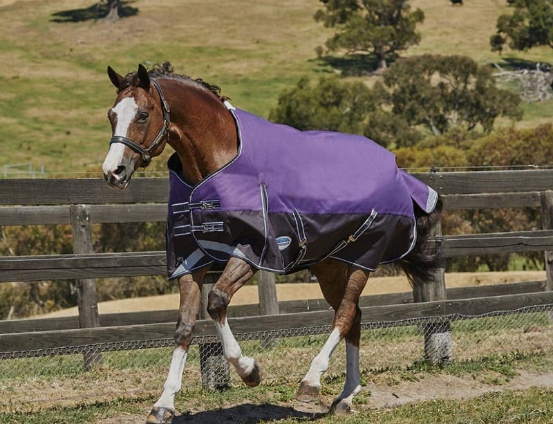 WeatherBeeta Comfitec Plus Dynamic Standard Neck