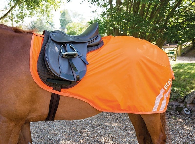Bridleway Visibility Exercise Sheet