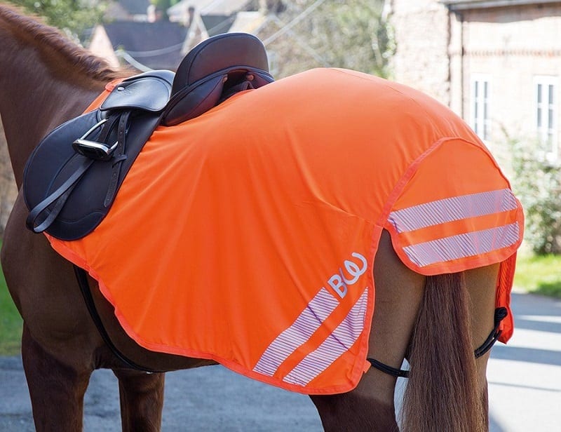 Bridleway Visibility Lite Exercise Sheet