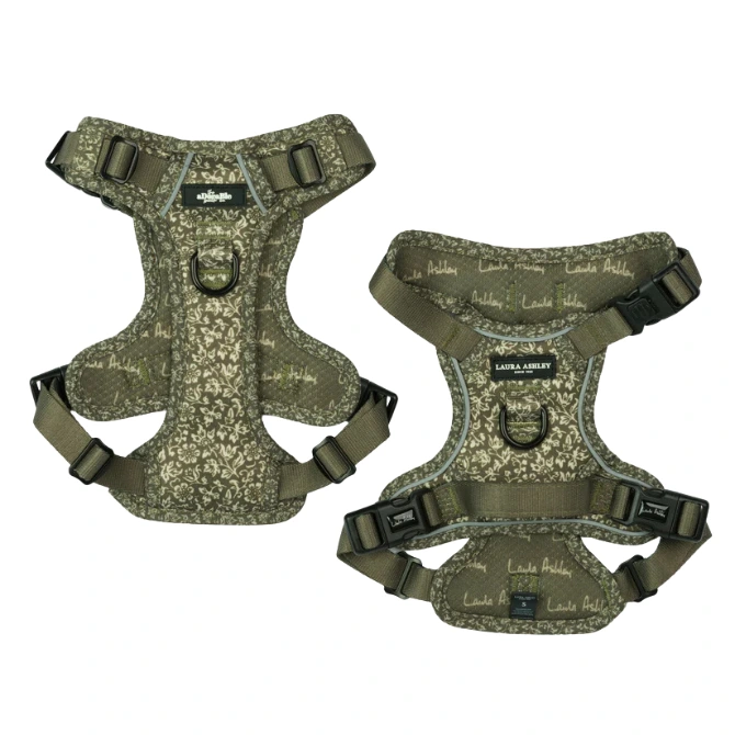 Adorable Pooch Laura Ashley Harness Sweet Alyssum