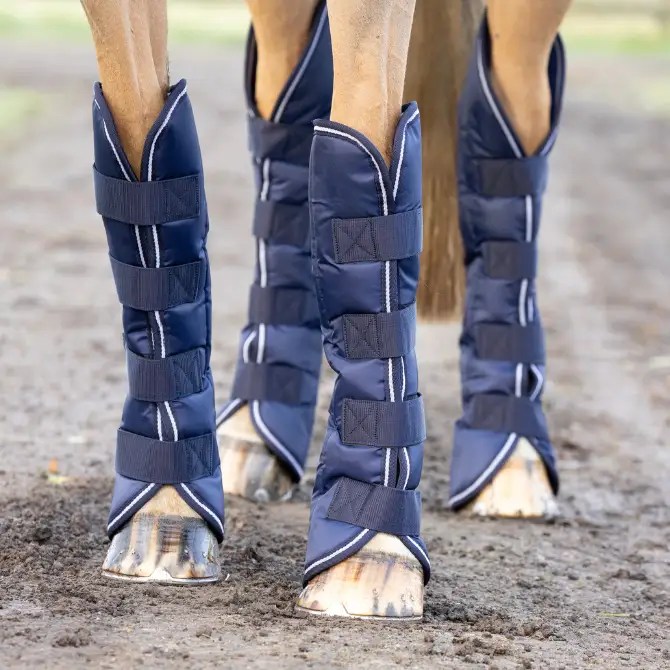 Hy Equestrian Economy Travel Boots Navy