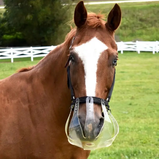 ThinLine Flexible Filly Grazing Muzzle