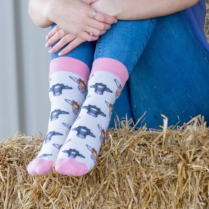 pink-cow2-1.jpg