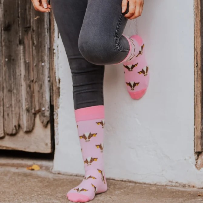 pink-friesian2-1.jpg