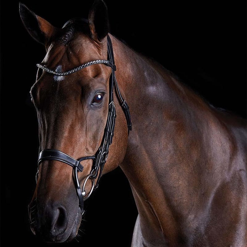 Collegiate Comfitec Crystal Bridle,