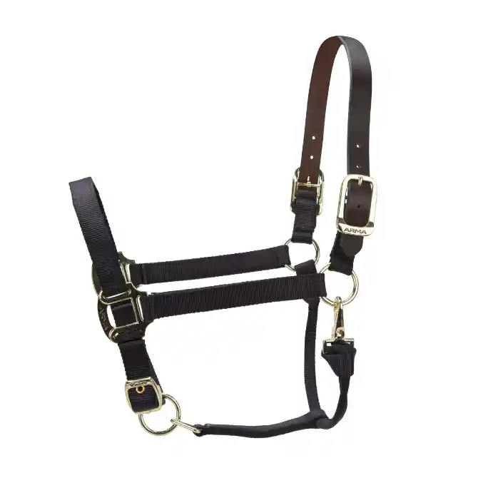 Shires ARMA Premium Adjustable FieldSafe Headcollar Black
