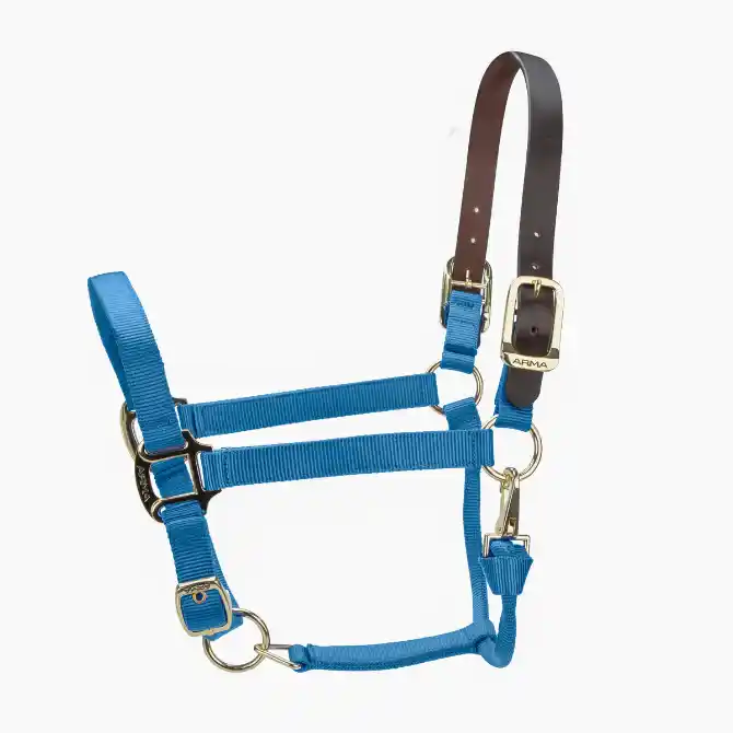 Shires ARMA Premium Adjustable FieldSafe Headcollar Royal