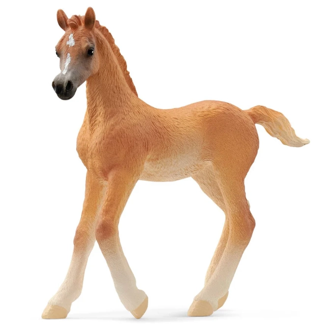 Schleich Arabian Foal
